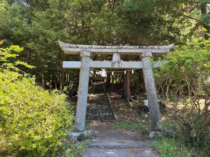 若宮八幡神社の{uncategorized: "未分類", other: "その他", undefined: "問題あり", building: "その他建物", grave: "お墓", sacred_gate: "鳥居", guardian: "狛犬", statue: "像", buddha: "仏像", history: "歴史", nature: "自然", garden: "庭園", animal: "動物", pagoda: "塔", temizu: "手水舎", mountain_gate: "山門・神門", sanctuary: "本殿・本堂", subordinate: "末社・摂社", art: "芸術", scenery: "景色", jizo: "地蔵", ema: "絵馬", goshuin: "御朱印", omikuji: "おみくじ", items: "授与品その他", amulet: "お守り", goshuincho: "御朱印帳", eats: "食事", festival: "お祭り", votive_dance: "神楽", shichigosan: "七五三参", wedding: "結婚式", experience: "体験その他", initially: "初詣", around: "周辺", anti_infection: "感染症対策"}