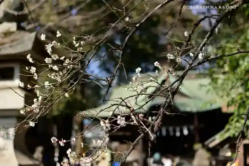 谷保天満宮の本殿・本堂