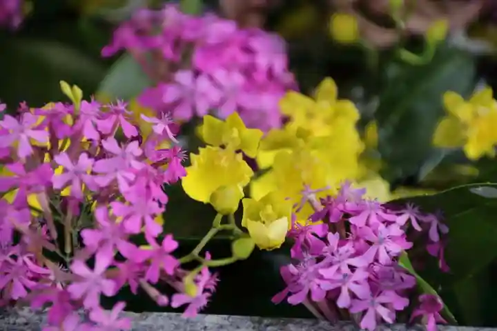豊景神社の手水舎