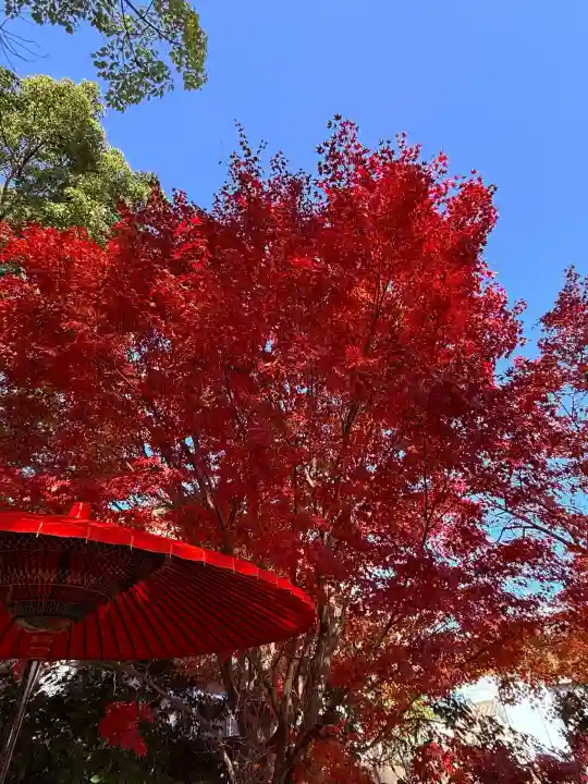 神戸水天宮(兵庫県)