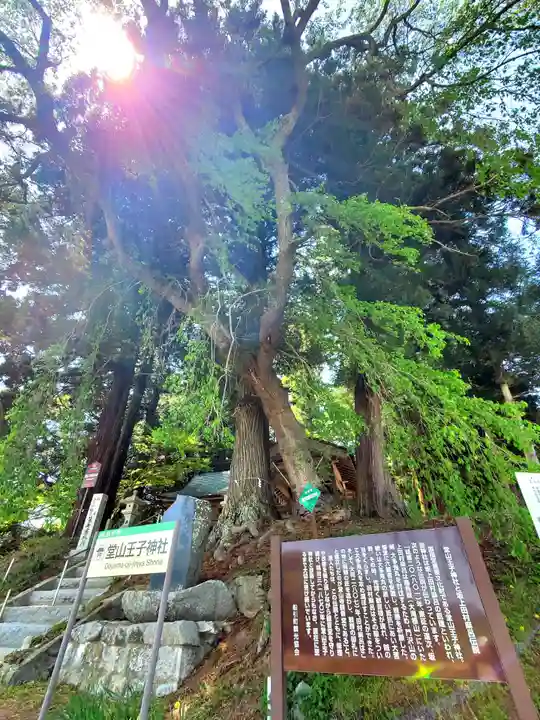 堂山王子神社(福島県)