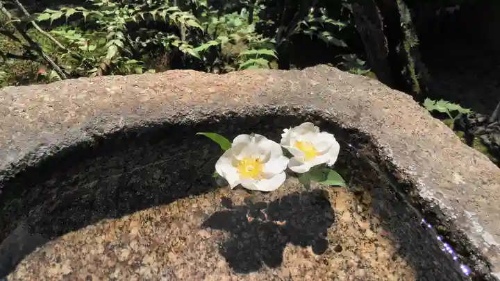 慈受院門跡の手水舎