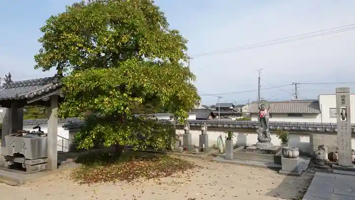 泰山寺(愛媛県)
