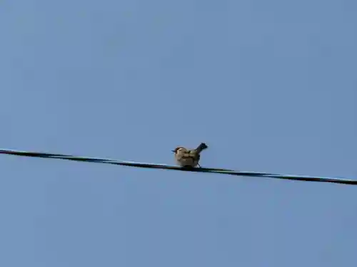 西方山極楽寺(岐阜県)