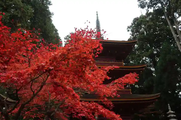 長命寺のその他建物