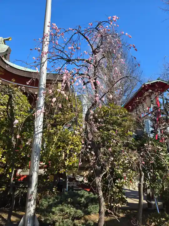 居木神社(東京都)