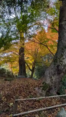 服部神社(京都府)