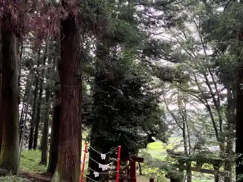 大宮温泉神社(栃木県)