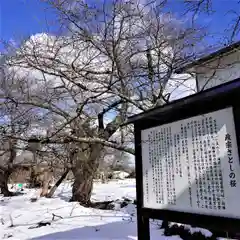 梁川八幡神社の自然