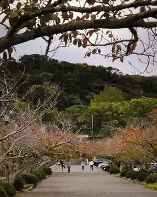 安房神社(千葉県)
