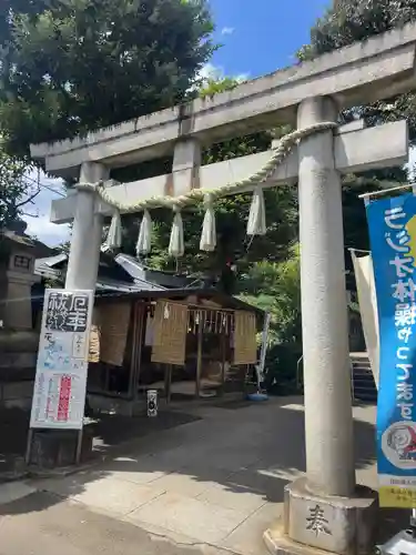 太子堂八幡神社(東京都)