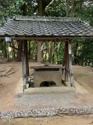 安仁神社の{uncategorized: "未分類", other: "その他", undefined: "問題あり", building: "その他建物", grave: "お墓", sacred_gate: "鳥居", guardian: "狛犬", statue: "像", buddha: "仏像", history: "歴史", nature: "自然", garden: "庭園", animal: "動物", pagoda: "塔", temizu: "手水舎", mountain_gate: "山門・神門", sanctuary: "本殿・本堂", subordinate: "末社・摂社", art: "芸術", scenery: "景色", jizo: "地蔵", ema: "絵馬", goshuin: "御朱印", omikuji: "おみくじ", items: "授与品その他", amulet: "お守り", goshuincho: "御朱印帳", eats: "食事", festival: "お祭り", votive_dance: "神楽", shichigosan: "七五三参", wedding: "結婚式", experience: "体験その他", initially: "初詣", around: "周辺", anti_infection: "感染症対策"}