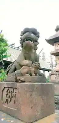 寒川神社の狛犬