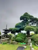 宗建寺(東京都)