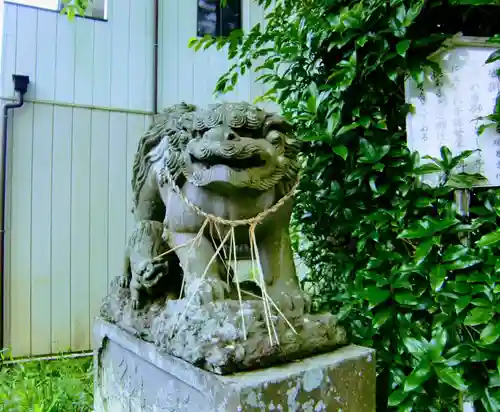 竹内神社の狛犬
