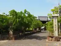 道明寺(大阪府)