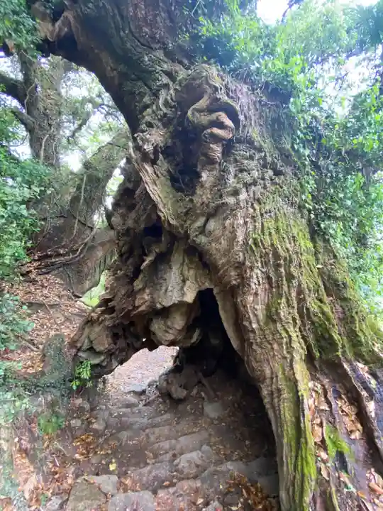 大山祇神社奥の院 生樹の御門(愛媛県)