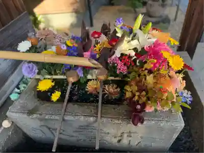 勝林寺(京都府)