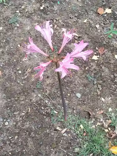 横浜　西方寺の自然