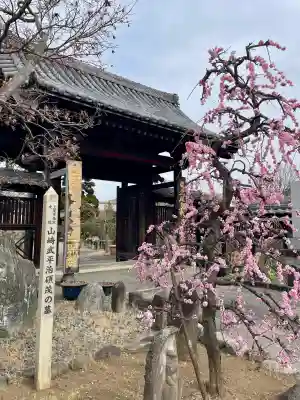 遍照院(埼玉県)