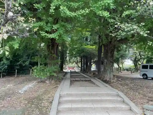 三芳野神社(埼玉県)