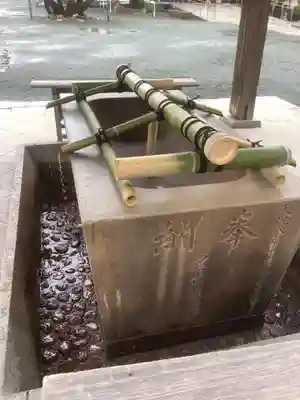 豊川閣　妙厳寺の手水舎