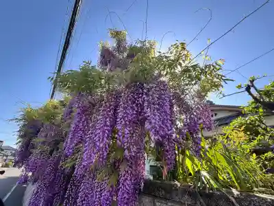 市場稲荷神社(大阪府)