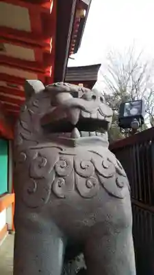 千葉神社の狛犬