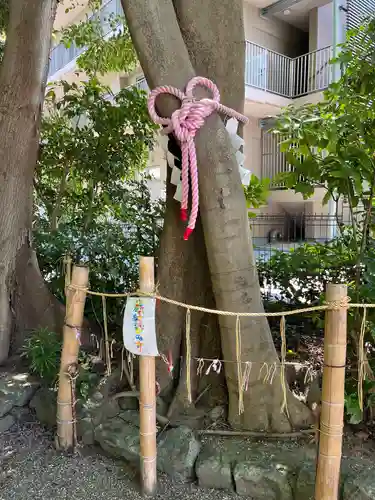 伊和志津神社の自然