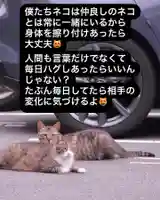 専念寺(大阪府)