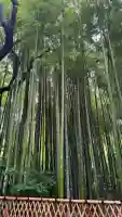 大宮八幡宮(東京都)