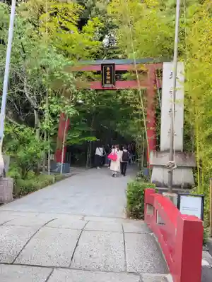 來宮神社(静岡県)