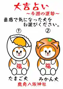 鹿角八坂神社(秋田県)(2021年06月28日(月) 04時38分54秒投稿)