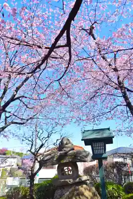密藏院(埼玉県)