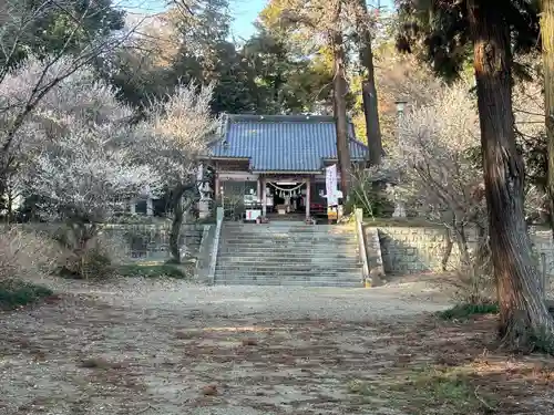 千代ケ岡八幡宮(栃木県)
