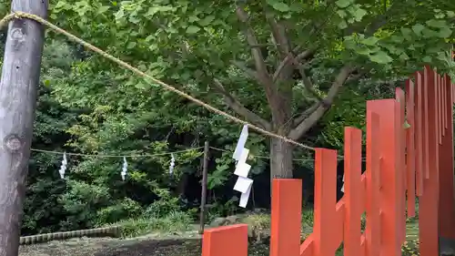 鶴岡八幡宮の自然