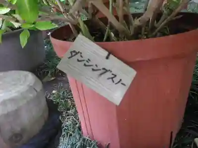 長谷寺のその他建物