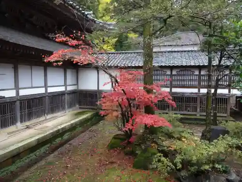 井波別院瑞泉寺の本殿