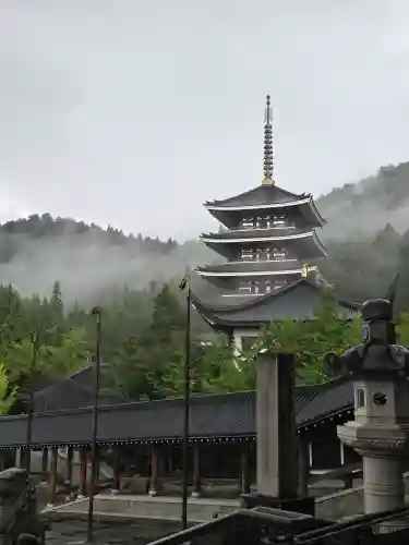清大寺(越前大仏)(福井県)