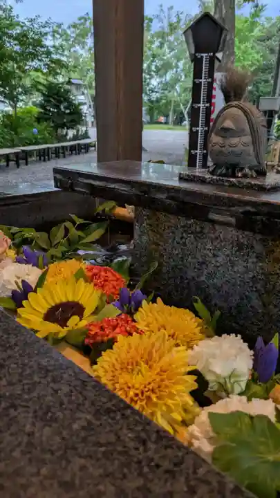新琴似神社(北海道)