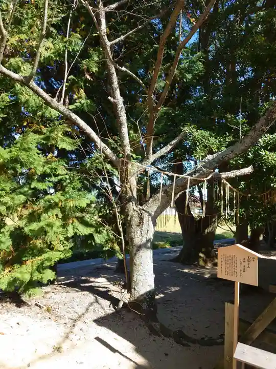 立虫神社(島根県)