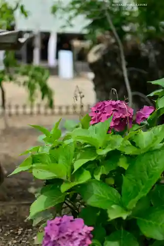 鎌数伊勢大神宮(千葉県)