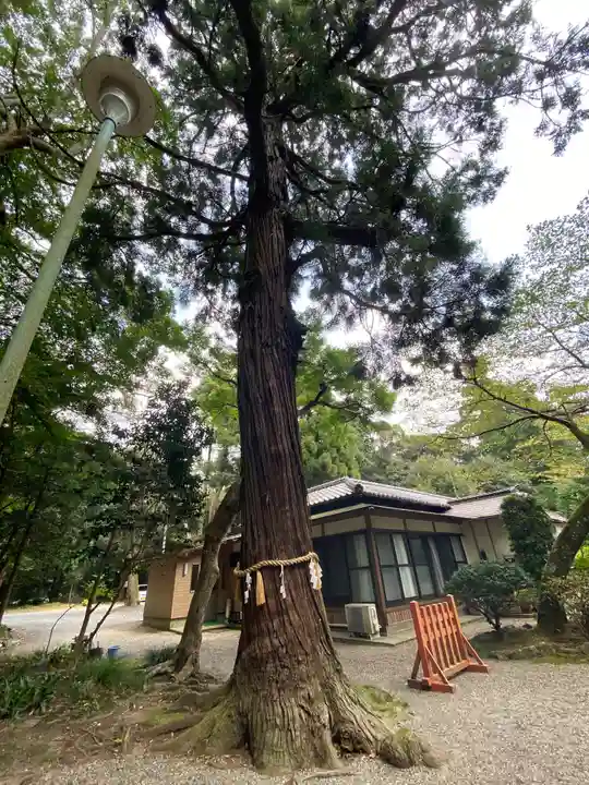 息栖神社の自然