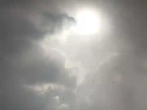 出雲大社(島根県)