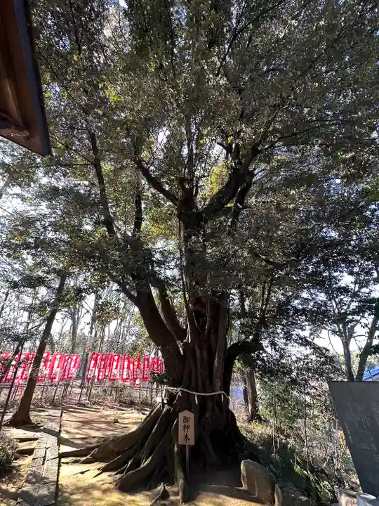 十二社(東京都)