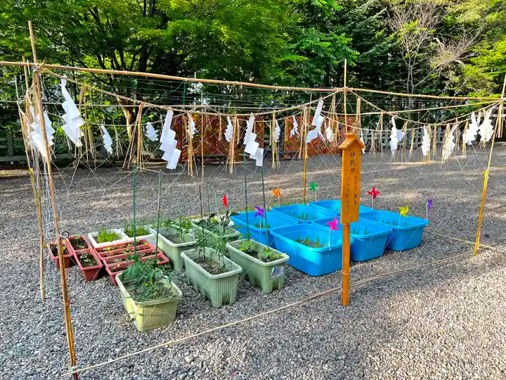 上川神社の庭園