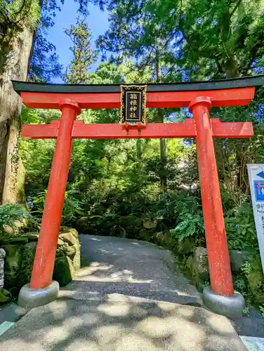 箱根神社の鳥居