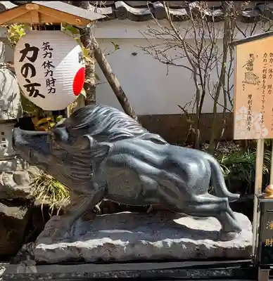 摩利支天 徳大寺(東京都)