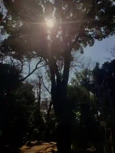 代々木八幡宮(東京都)