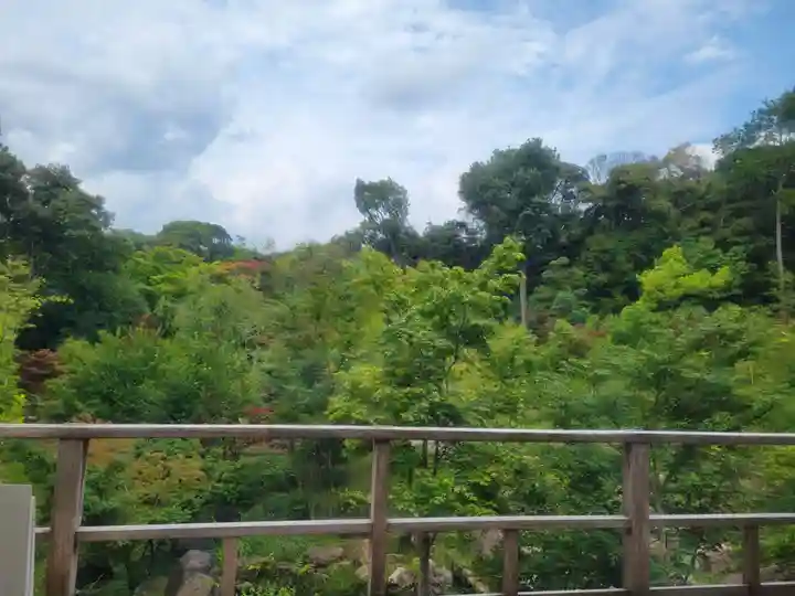 伏見稲荷大社の自然